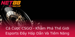 Ca Cuoc Csgo Kham Pha The Gioi Esports Ay Hap Dan Va Tiem Nang Au Tu