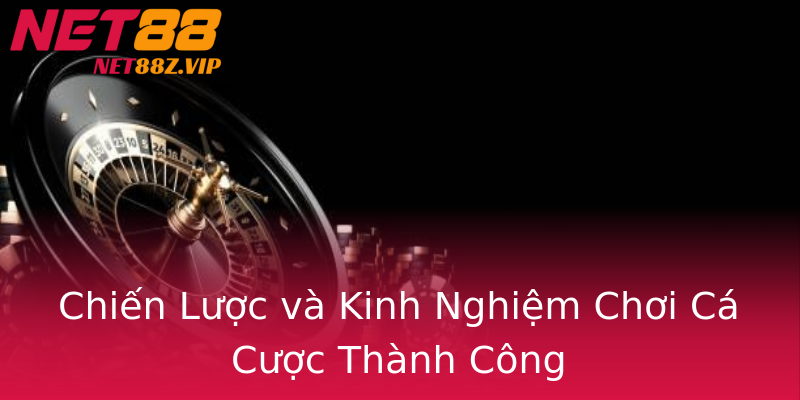 Chiến Lược và Kinh Nghiệm Chơi Cá Cược Thành Công Chiến Lược và Kinh Nghiệm Chơi Cá Cược Thành Công