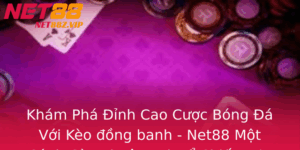 Kham Pha Inh Cao Cuoc Bong A Voi Keo Ong Banh Net88 Mot Canh Cua Thuan Loi E Chiem Uu The