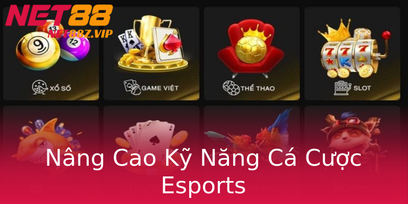 Nâng Cao Kỹ Năng Cá Cược Esports Nâng Cao Kỹ Năng Cá Cược Esports