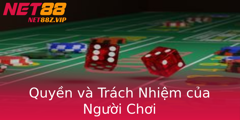Quyền và Trách Nhiệm của Người Chơi Quyền và Trách Nhiệm của Người Chơi